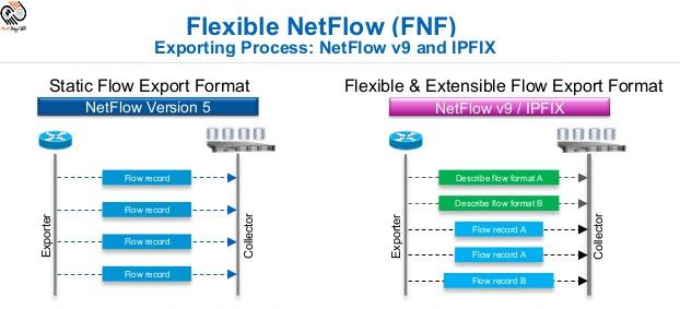 Flexible Netflow چیست ؟